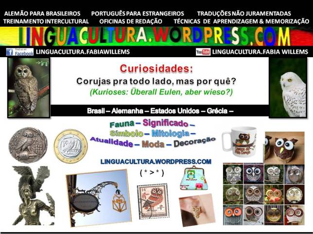 curiosidade_coruja1a